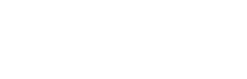 Safi logo